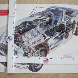 Poster Auto Austin Healey Schnitt