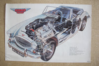 Poster Auto Austin Healey Schnitt