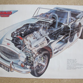 Poster Auto Austin Healey Schnitt
