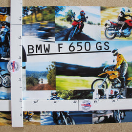 Poster Motorrad BMW F650GS bunt