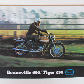 Prospekt Triumph Tiger 650, Bonneville 650